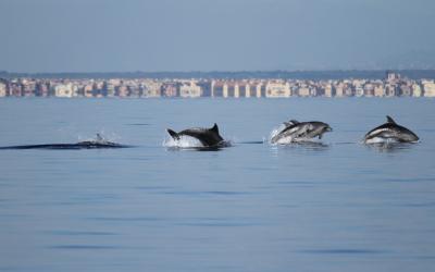 ostia mare ostia mare