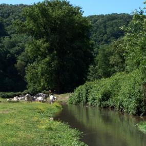 Parco di Veio